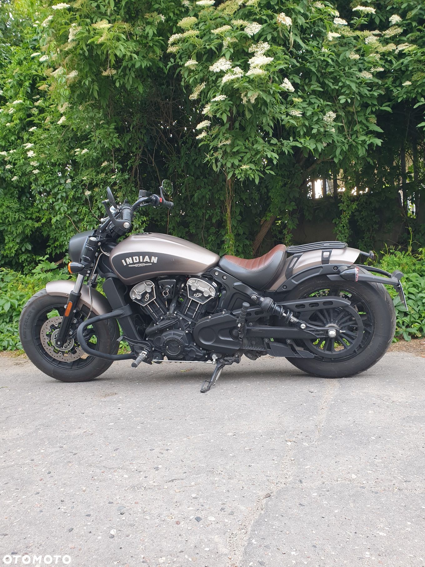 Indian Scout - 1