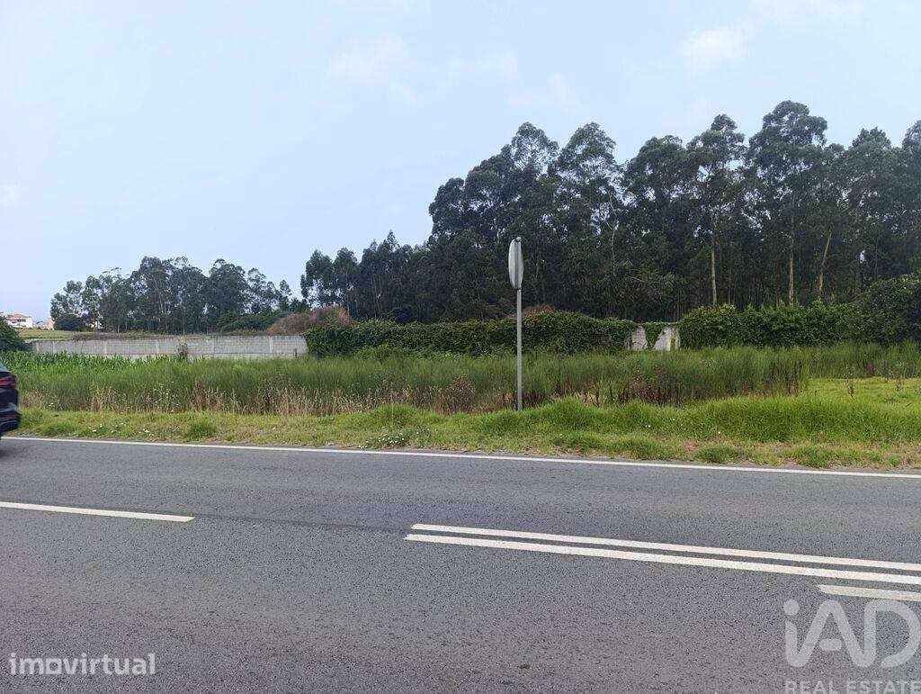 Terreno para construção em Barqueiros - Grande imagem: 2/3