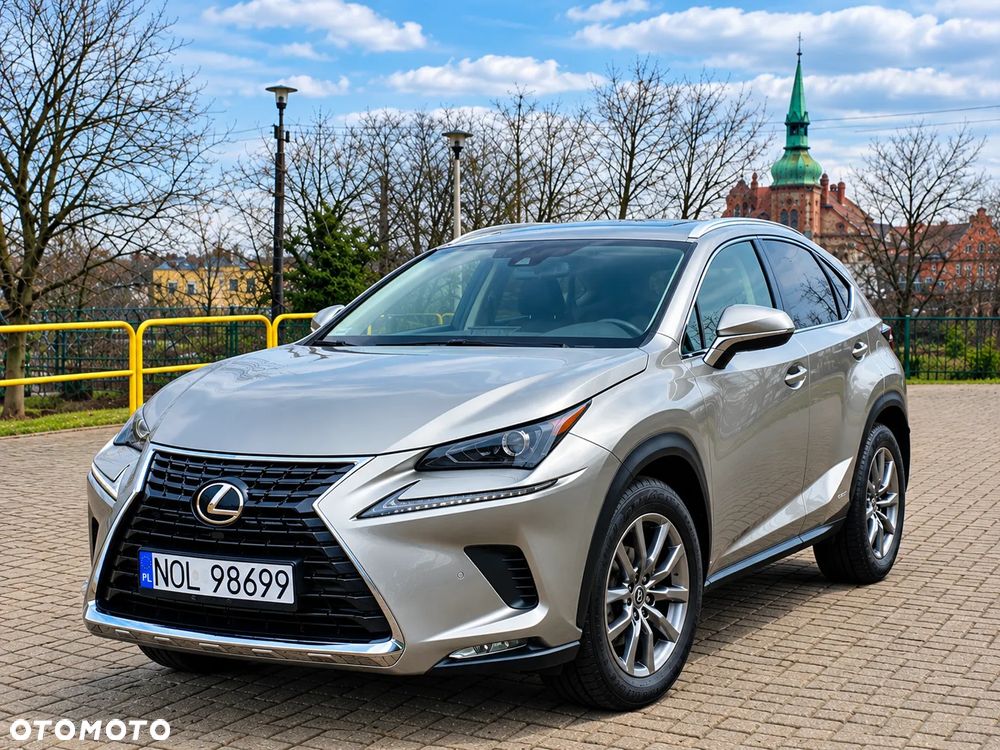 Lexus Nx 2019 photo 3