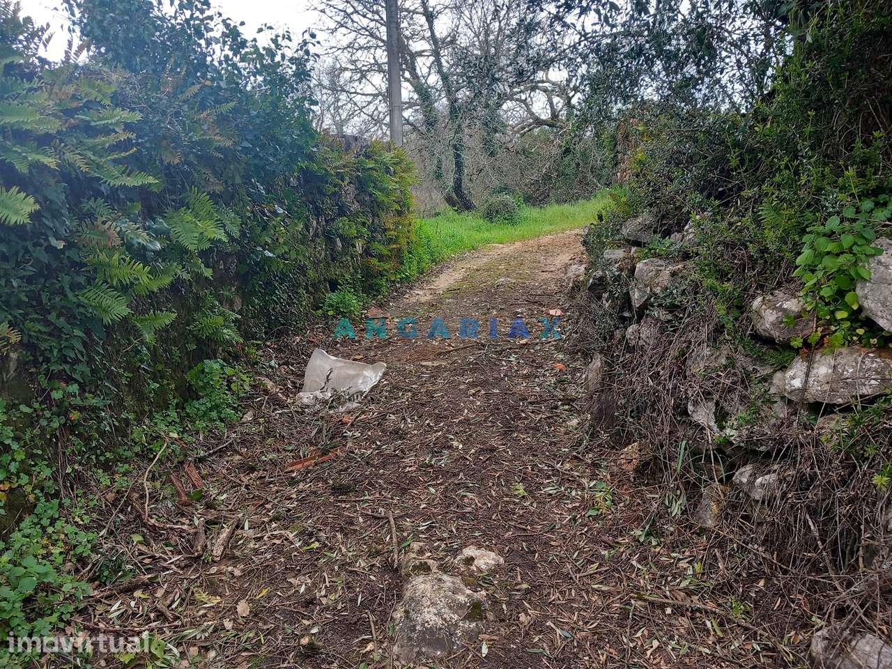 ANG1560 - Quinta para Venda em Santiago da Guarda, Ansião - Grande imagem: 4/13