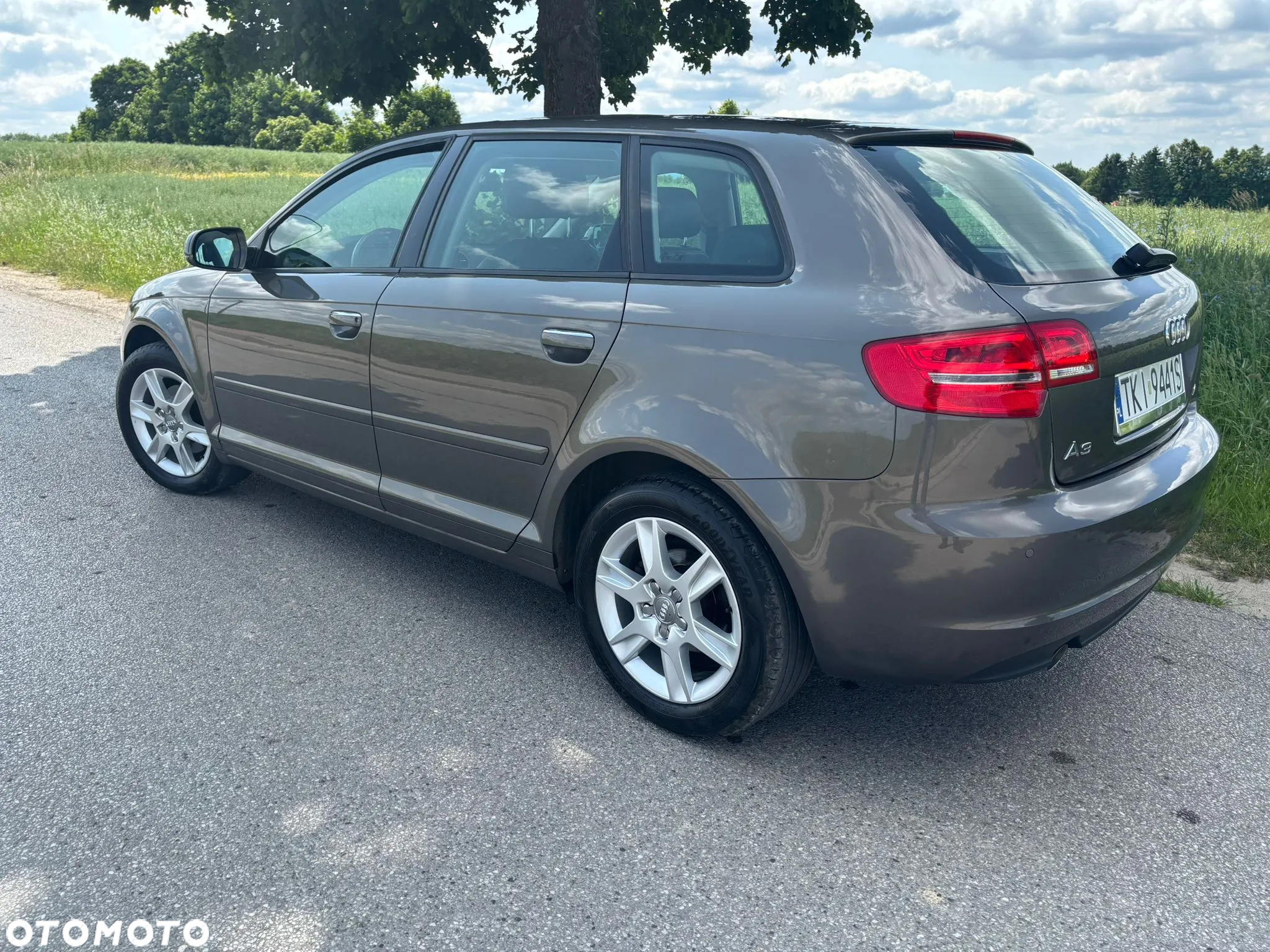 Audi A3 1.6 TDI 102g Sportback DPF - 11