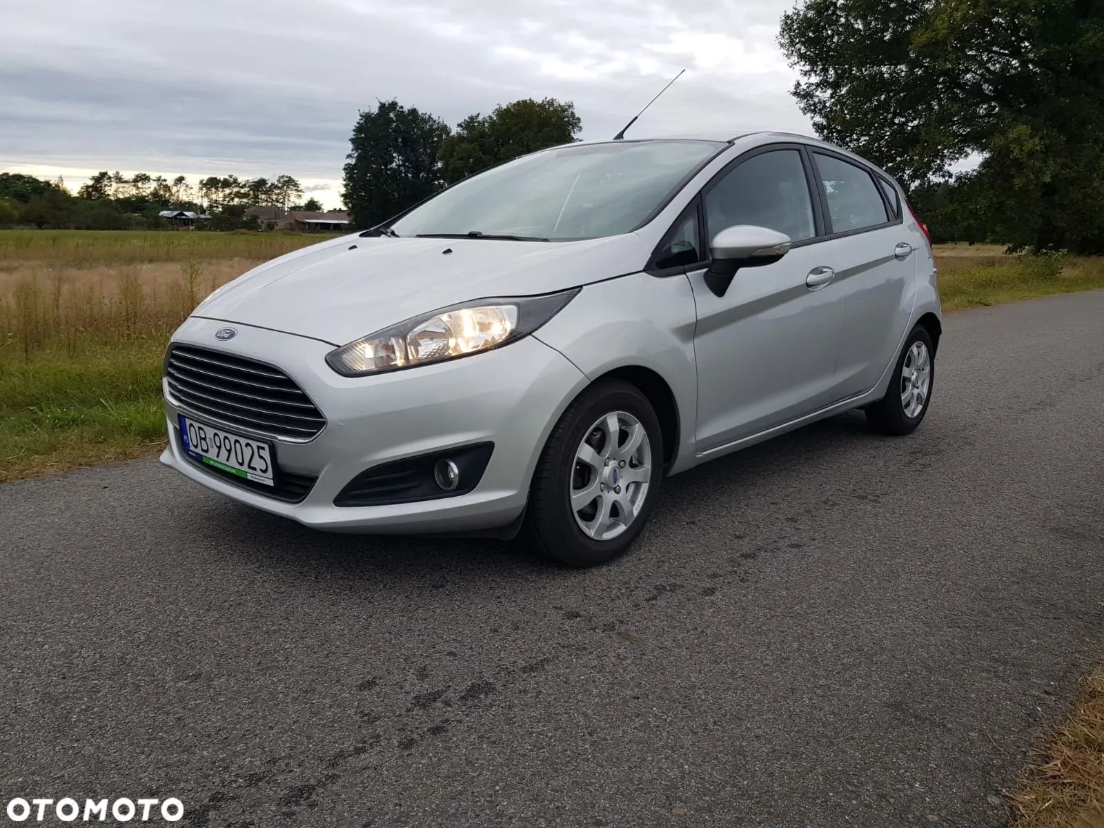 Ford Fiesta - 1