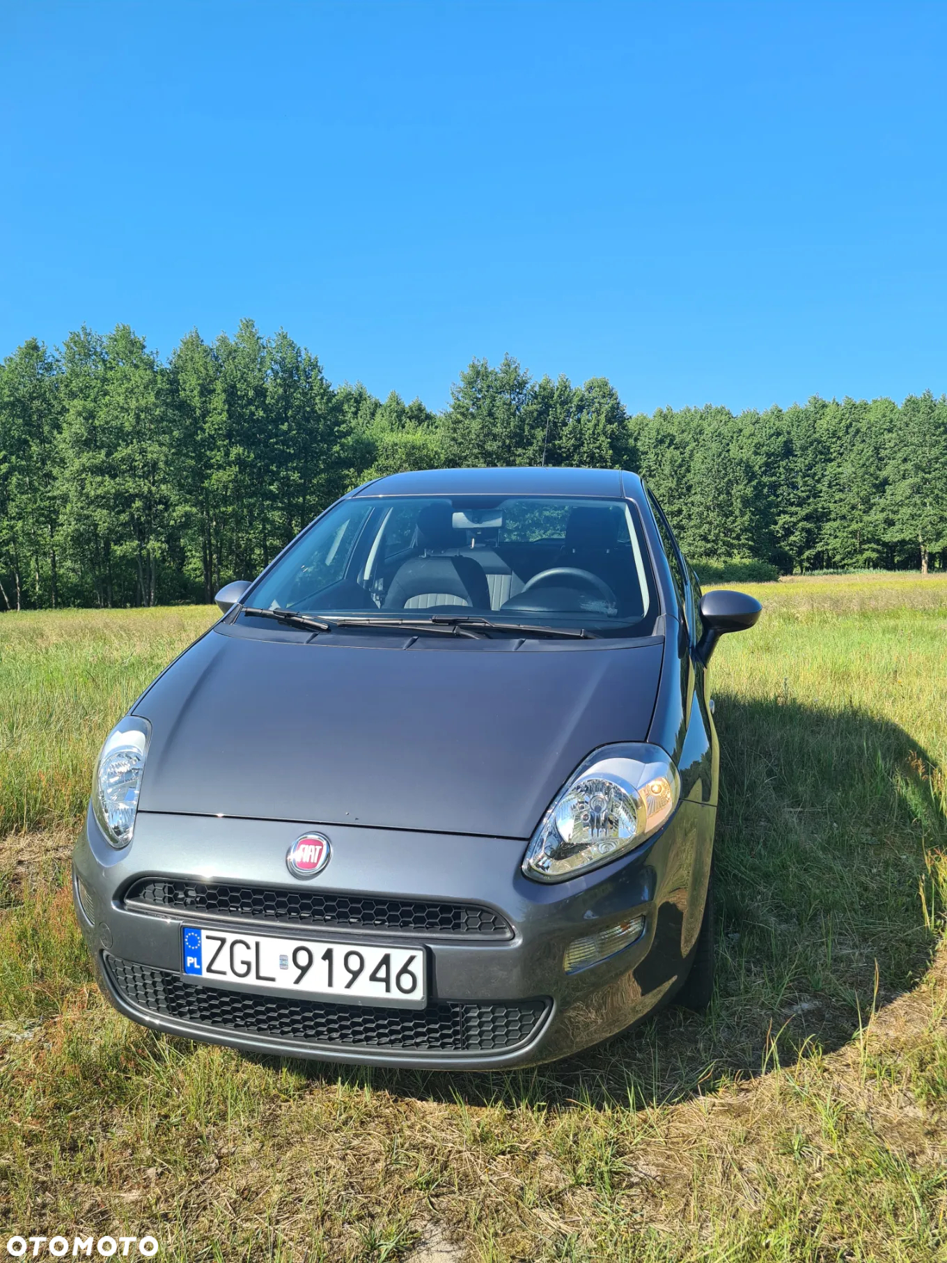 Fiat Punto - 9