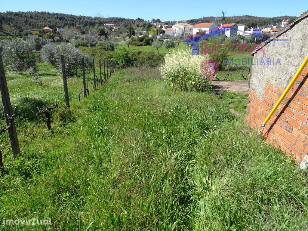 Terreno com projeto de construção aprovado, em Pedrógão Grande - Grande imagem: 2/25