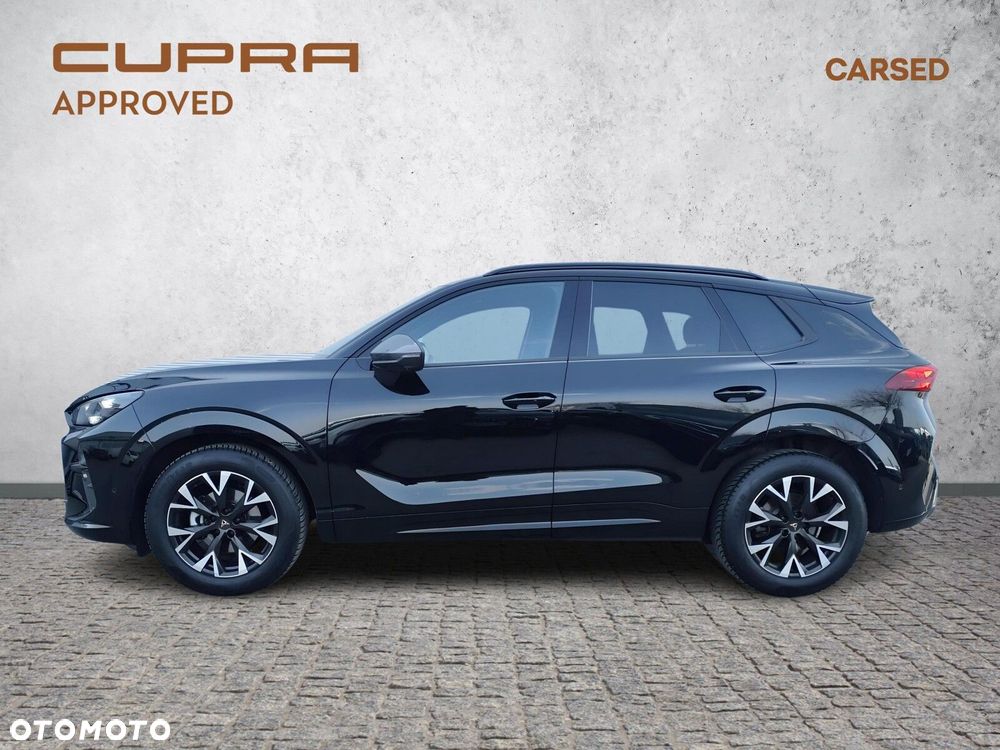 Cupra Terramar - 3
