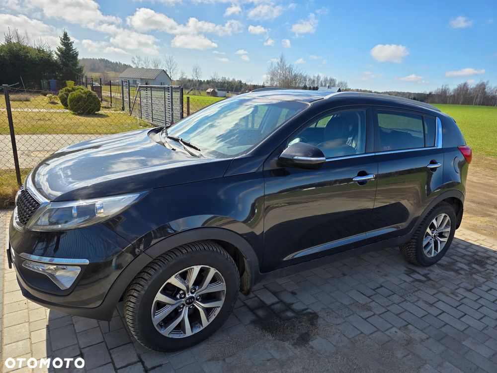Kia Sportage - 1