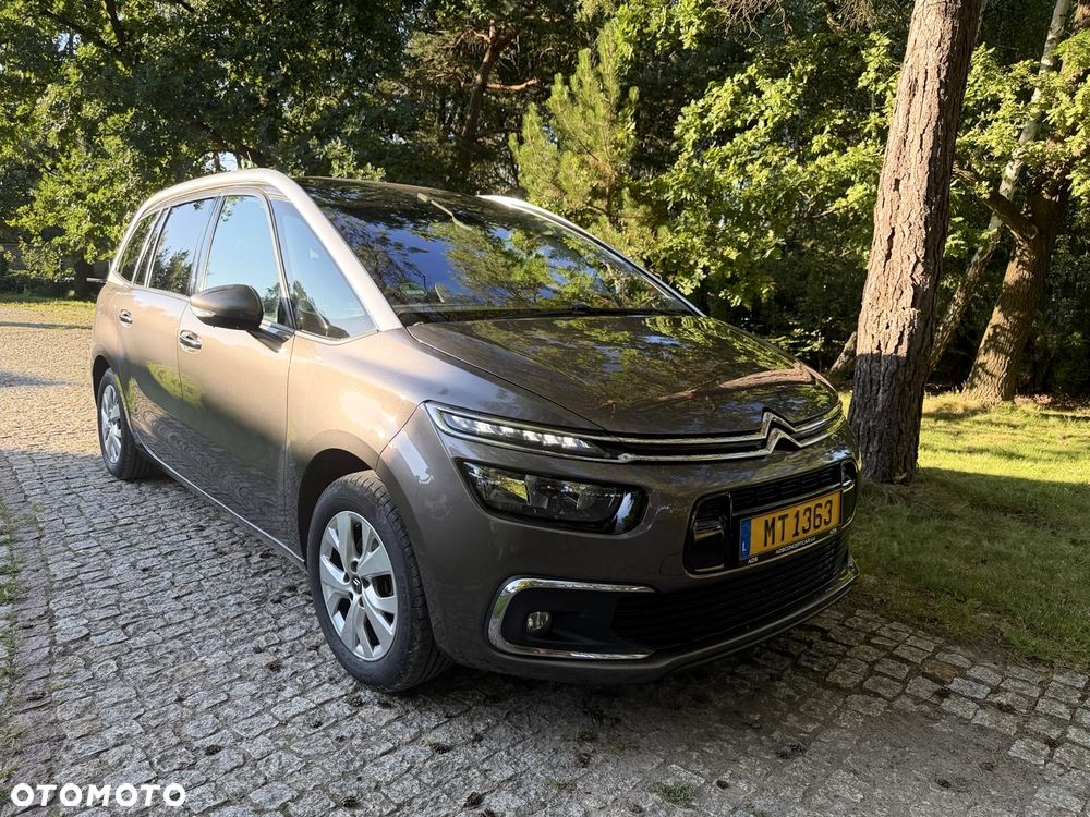 Citroën C4 Grand Picasso BlueHDi 120 Business Class - 12