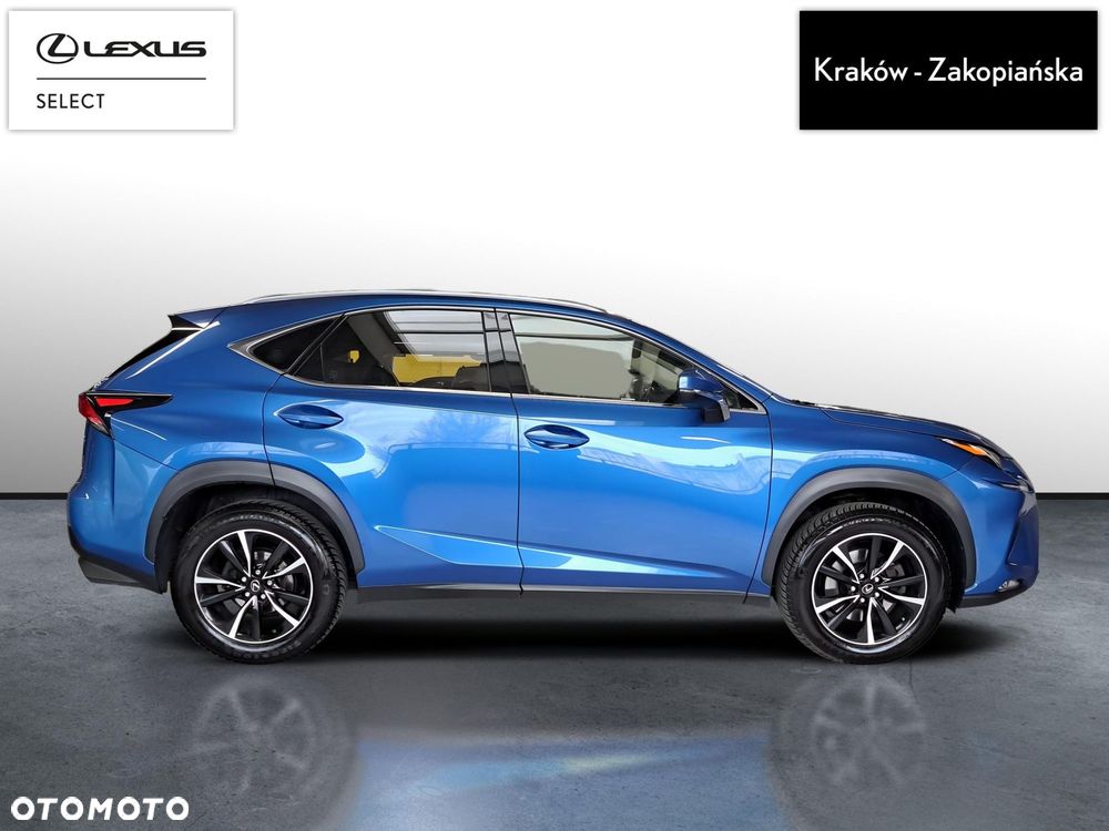 Lexus NX 300 Comfort AWD - 7