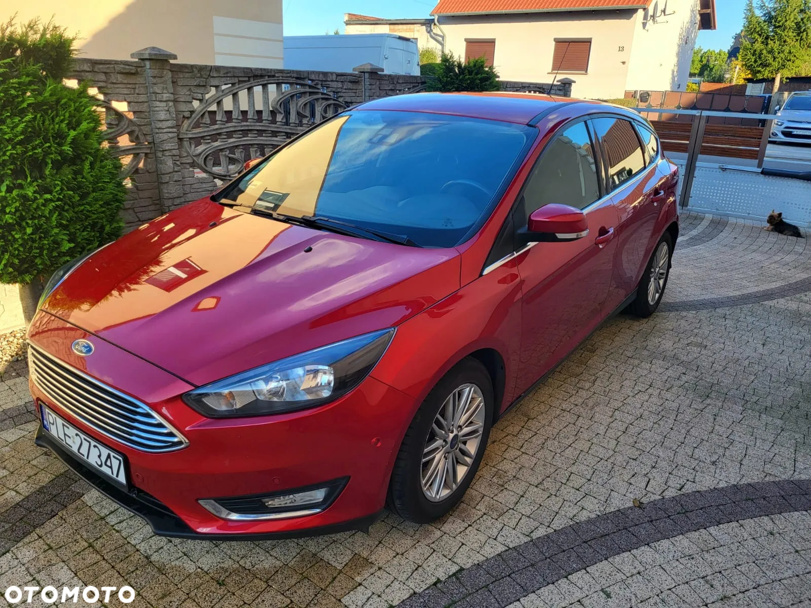 Ford Focus 1.5 EcoBlue Start-Stopp-System ACTIVE - 2