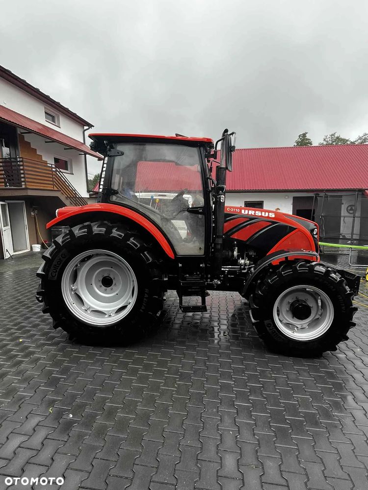 Ursus ursus c-3110 - 4