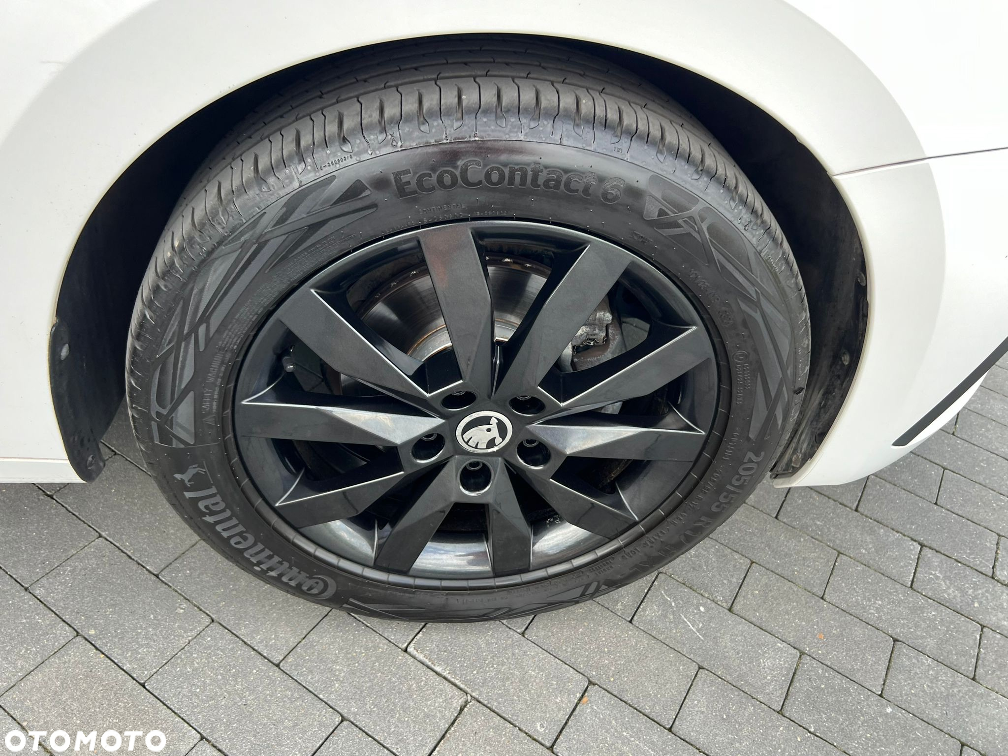 Skoda Octavia 2.0 TDI Business DSG - 7