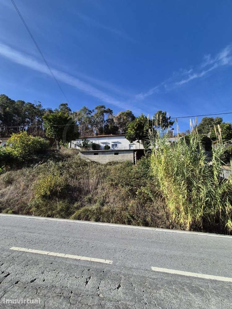 Casa de um pavimento e quintal - Grande imagem: 3/16