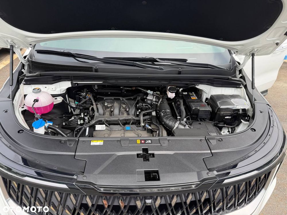 Kia Carnival - 38