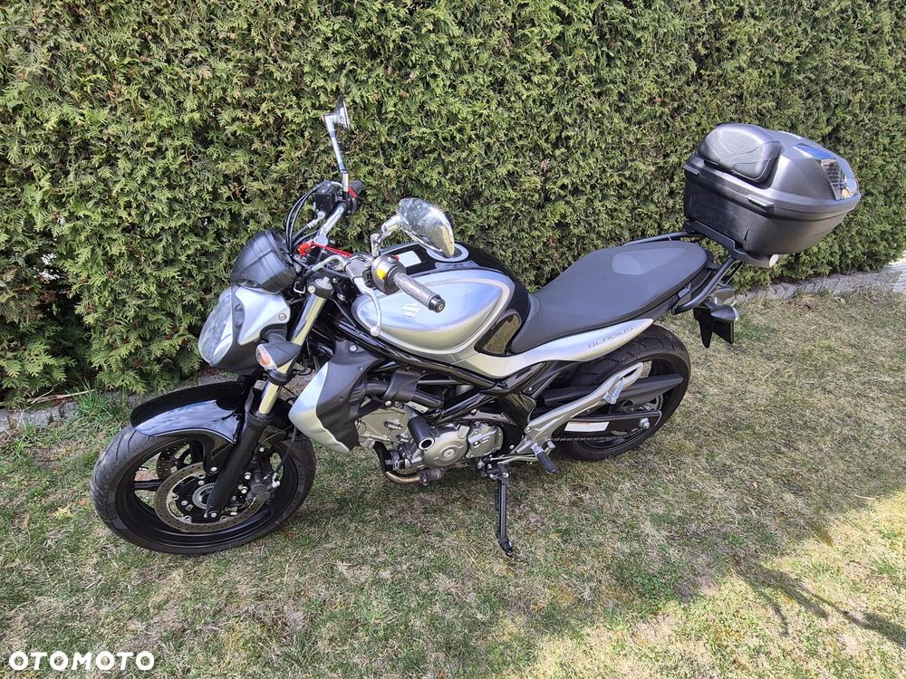 Suzuki Gladius - 13