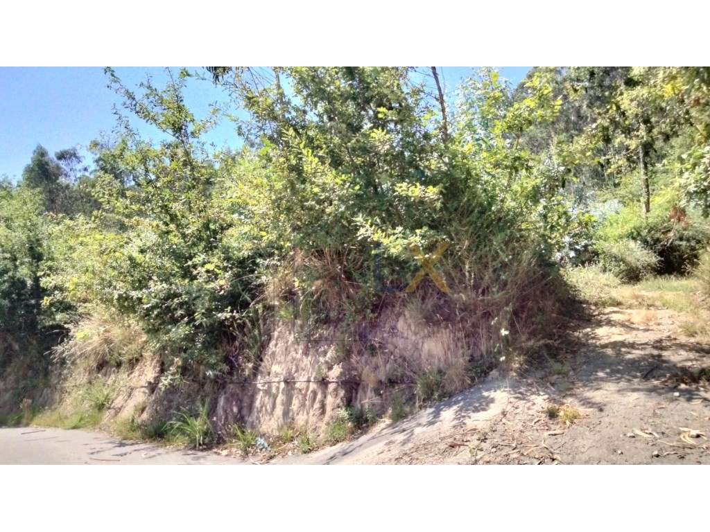 Terreno rústico com potencial para urbano á venda em Sever do Vouga!!! - Grande imagem: 2/14