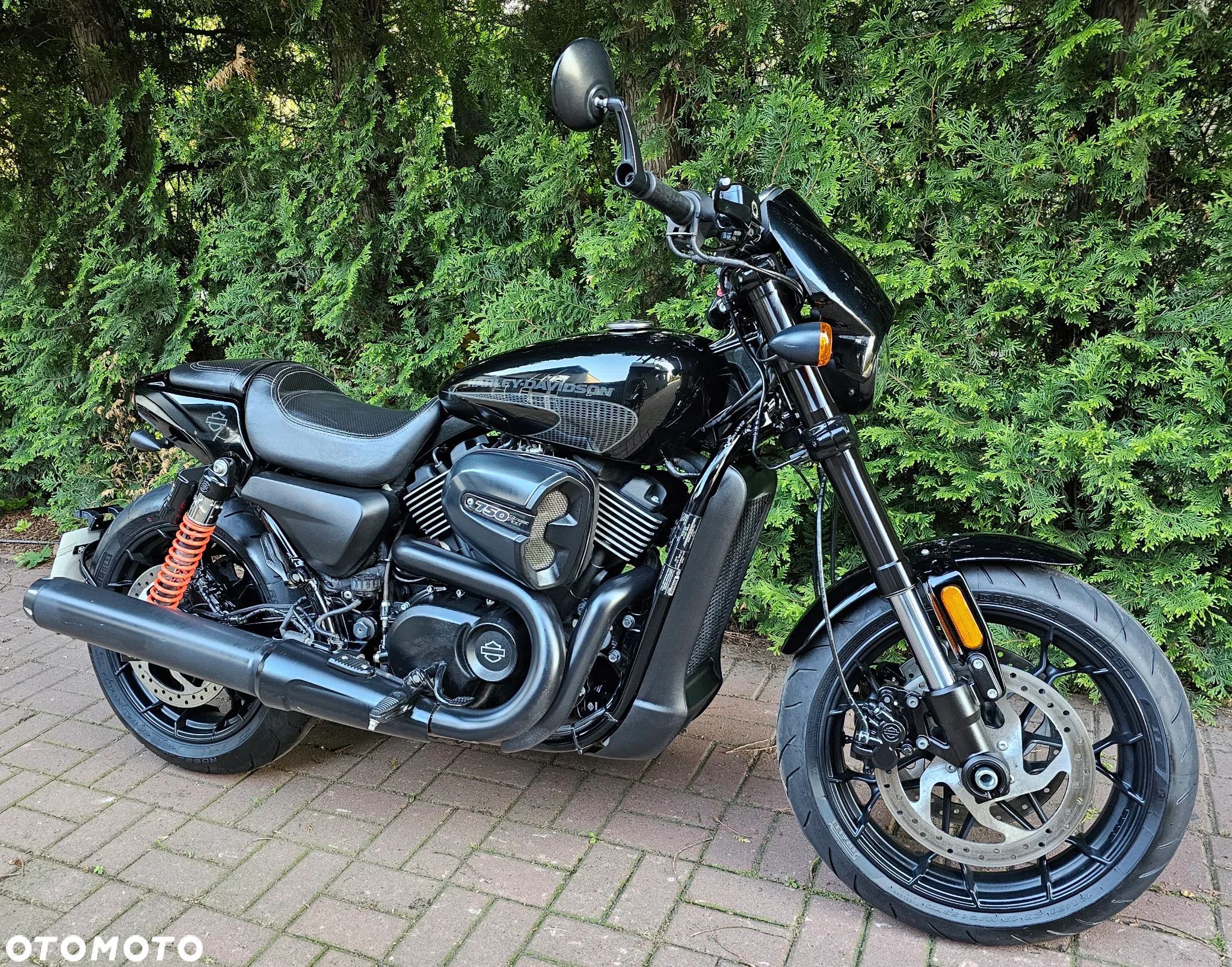 Harley-Davidson Street Rod XG 750A - 1