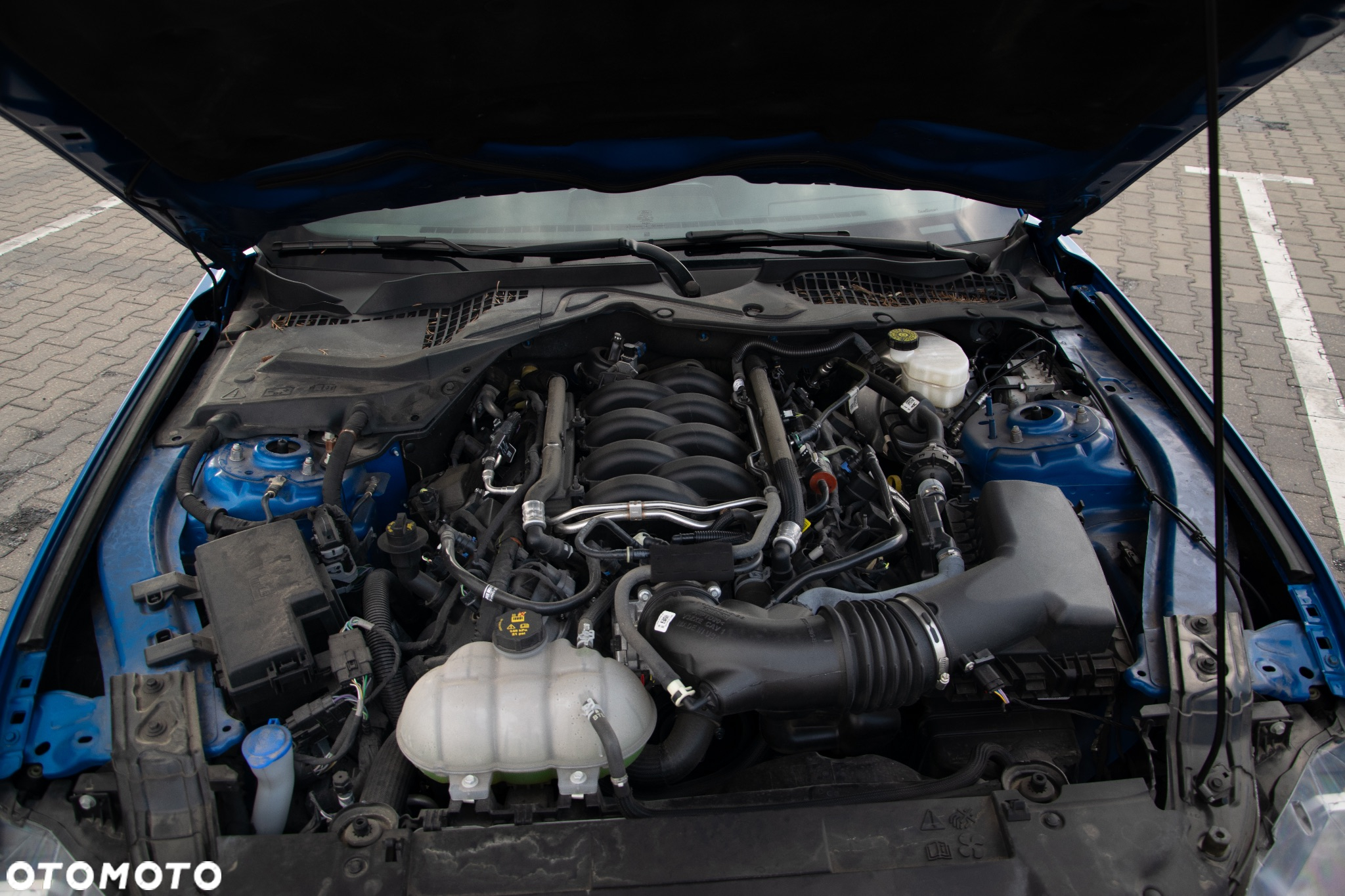 Ford Mustang - 7