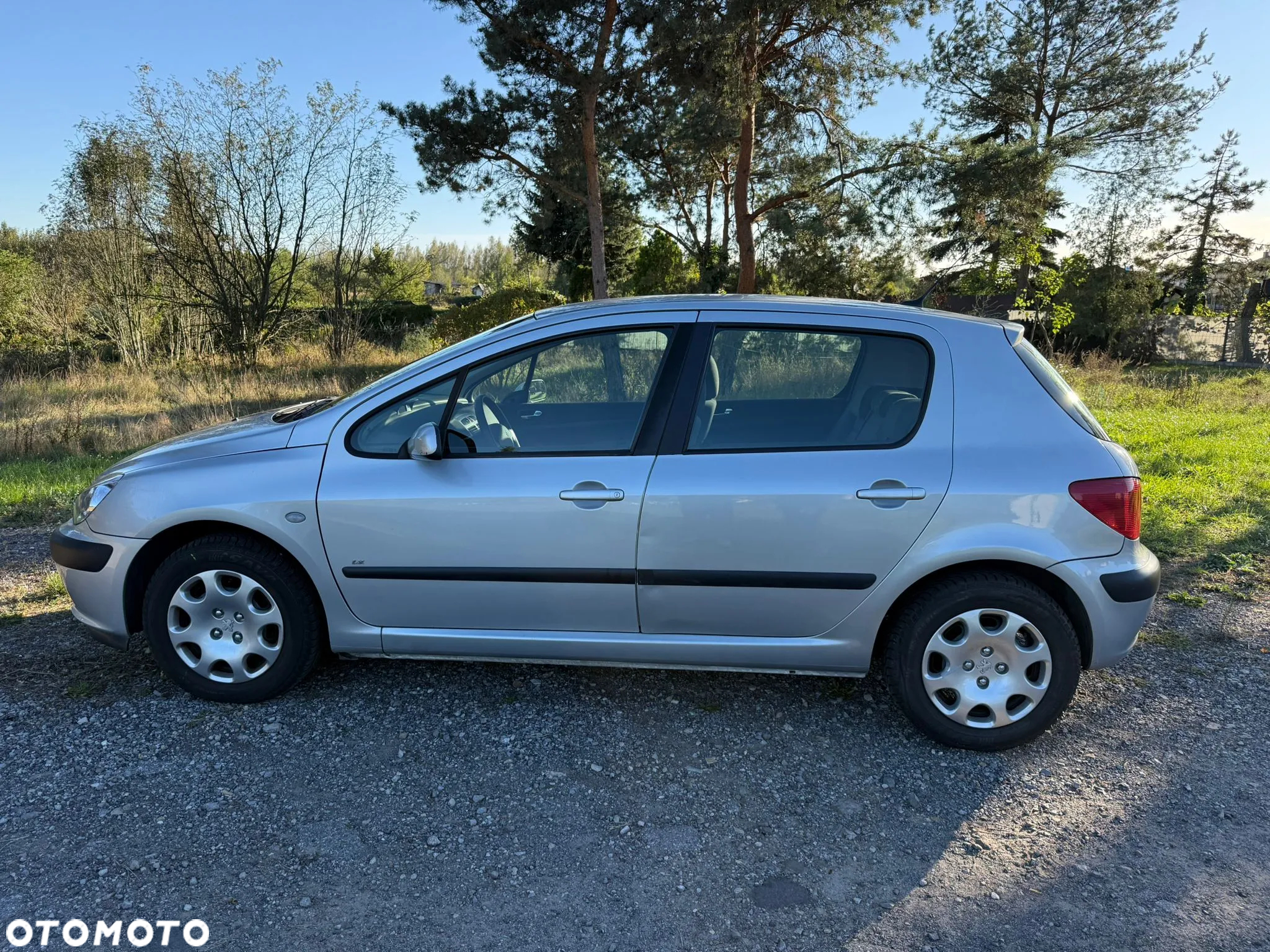 Peugeot 307 1.6 XR - 2