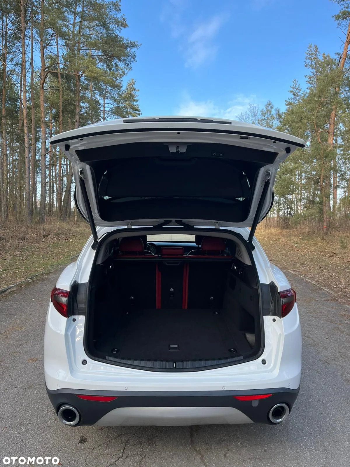 Alfa Romeo Stelvio 2.0 Turbo Executive Q4 - 16