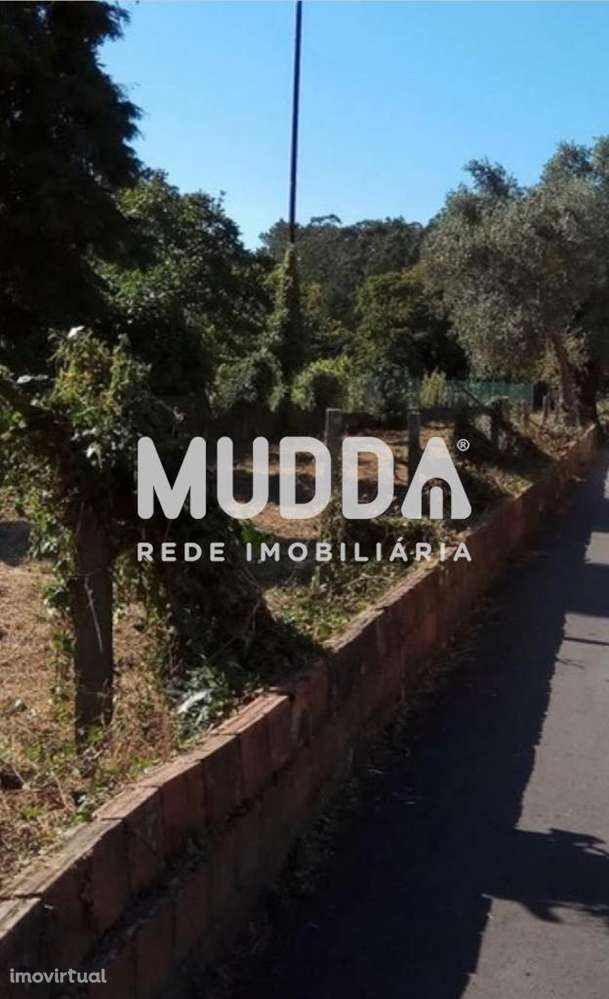 Moradia p/restauro em Alquerubim, Albergaria-a-Velha - Grande imagem: 2/3