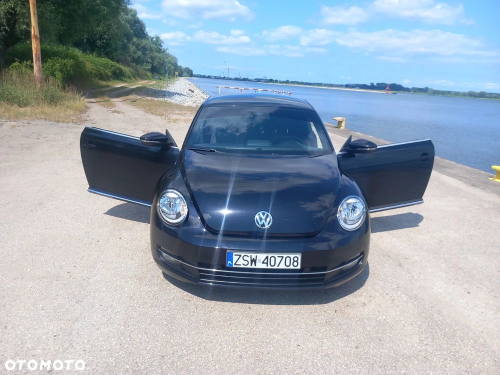 Volkswagen Beetle - 11