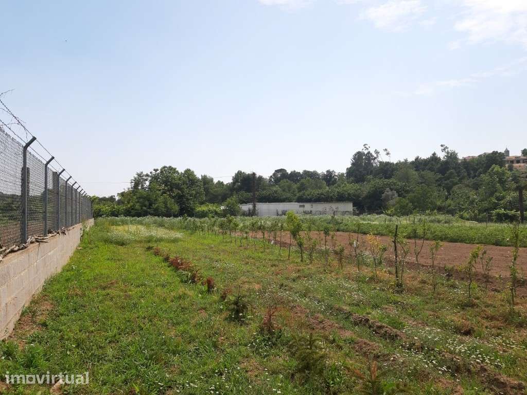 Terreno Agrícola / Ecológico - Rendufe - Grande imagem: 5/13