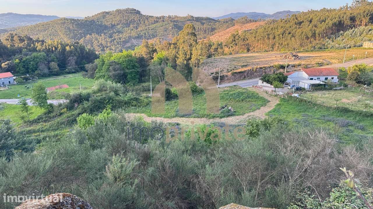 Quinta com ruína para recuperar em Vilarinho - Grande imagem: 5/13