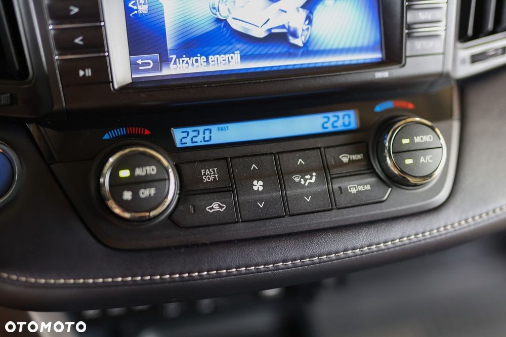 Toyota RAV4 - 10
