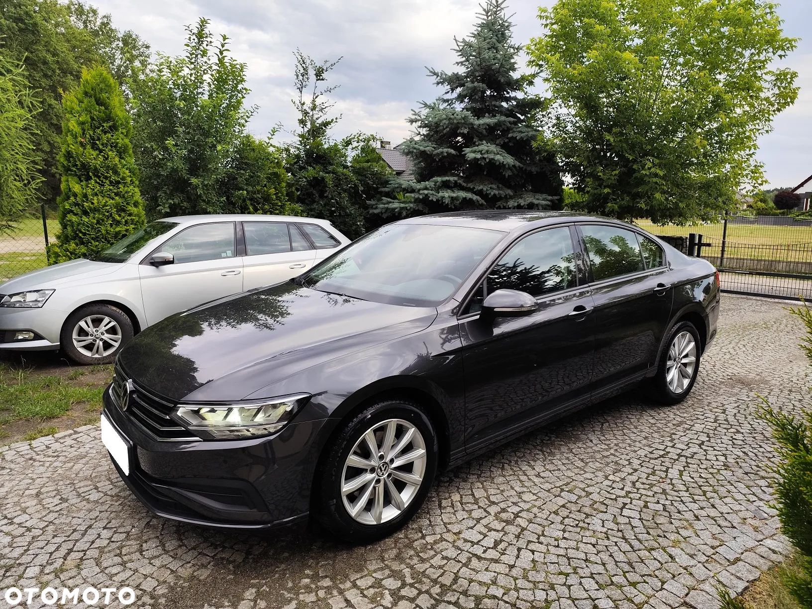 Volkswagen Passat - 1