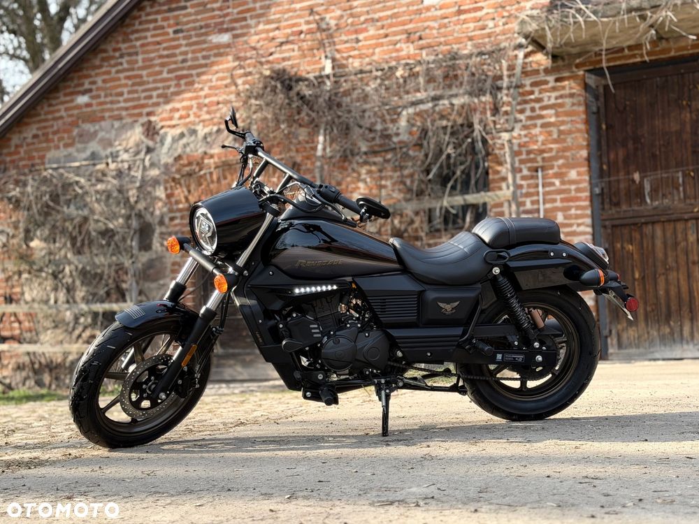 UM Renegade Freedom - 5