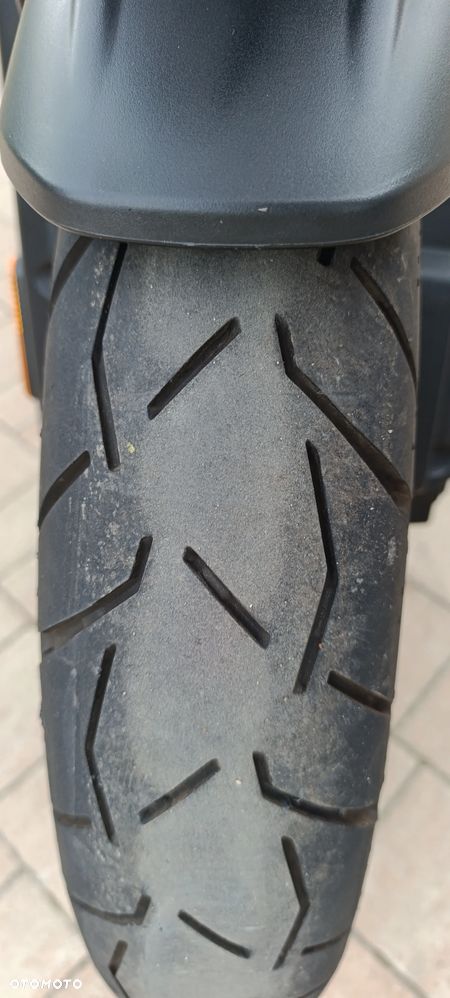 Triumph Tiger - 17