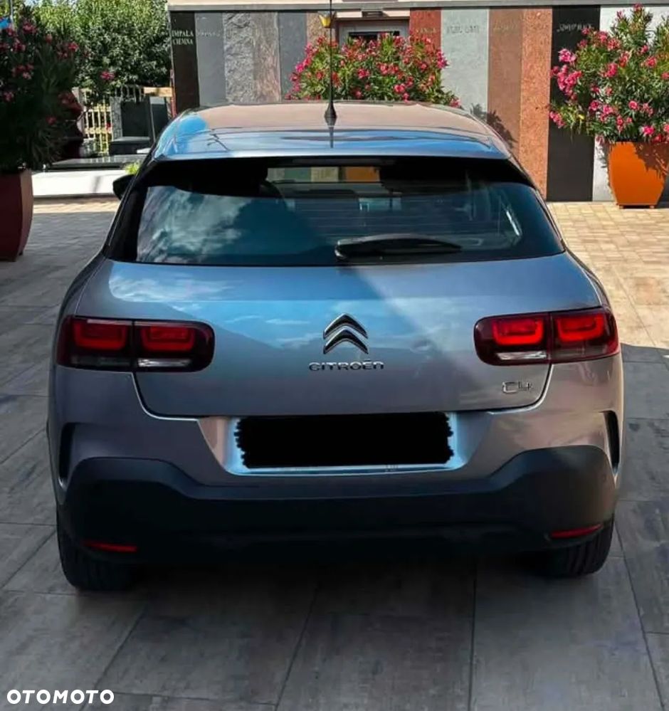 Citroën C4 Cactus 1.2 PureTech GPF Shine S&S EAT6 - 3