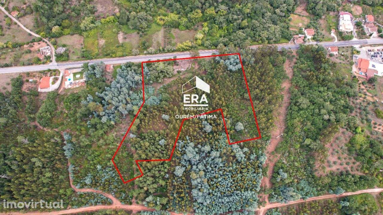 Terreno Rústico localizado em Maçãs de D. Maria - Grande imagem: 4/24