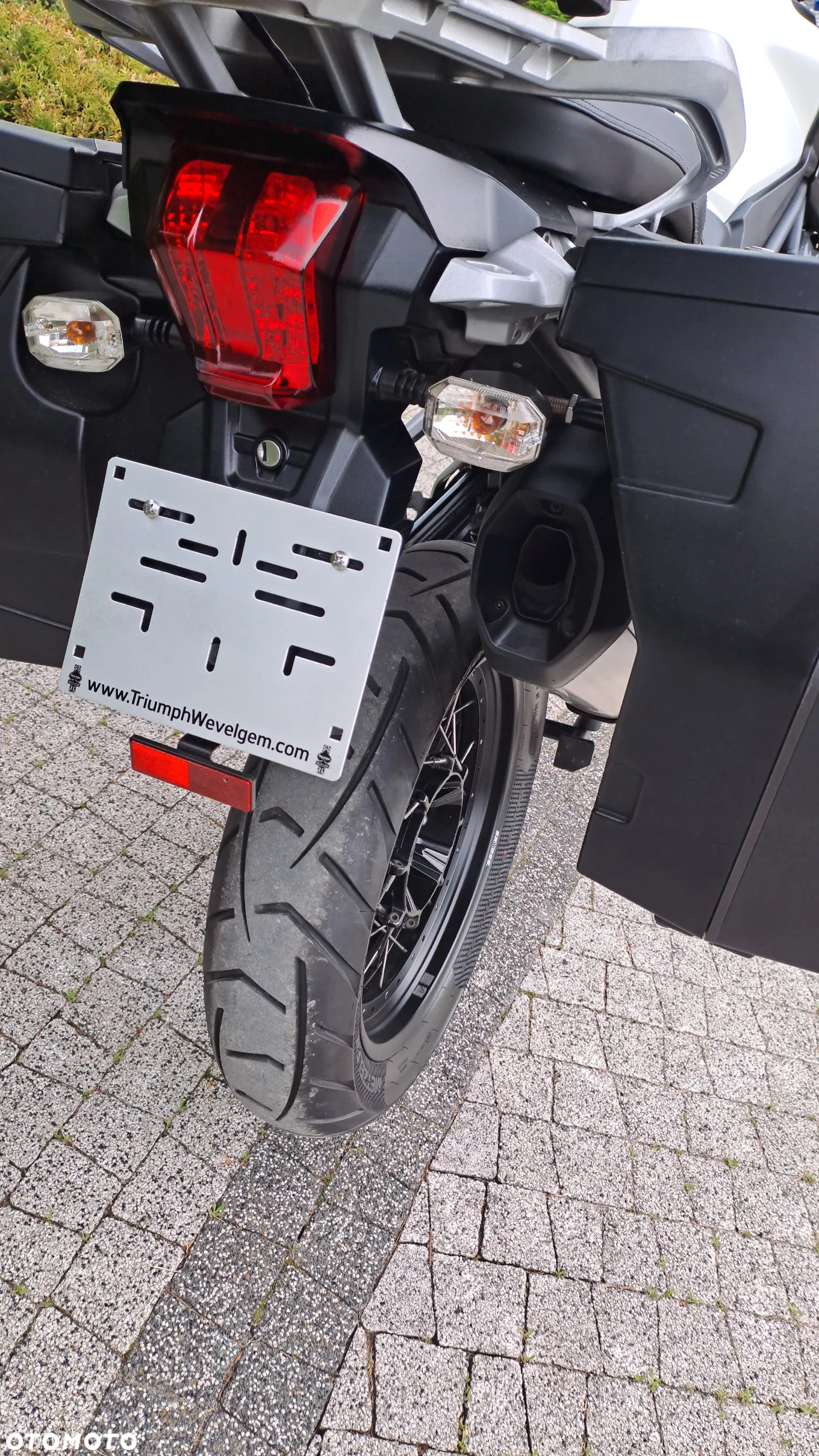 Triumph Tiger - 22