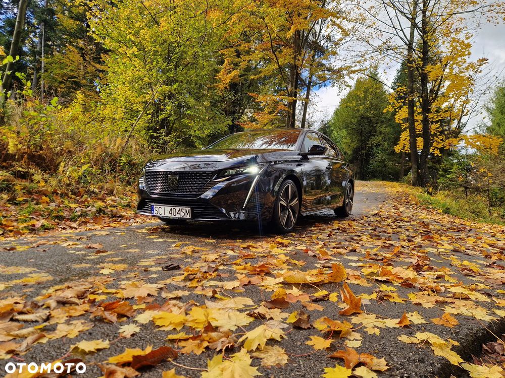 Peugeot 308 PureTech 130 EAT8 GT - 18