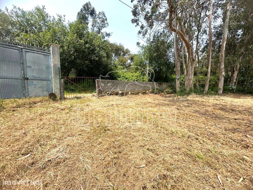 Terreno Agrícola - Alvarães - Grande imagem: 3/3