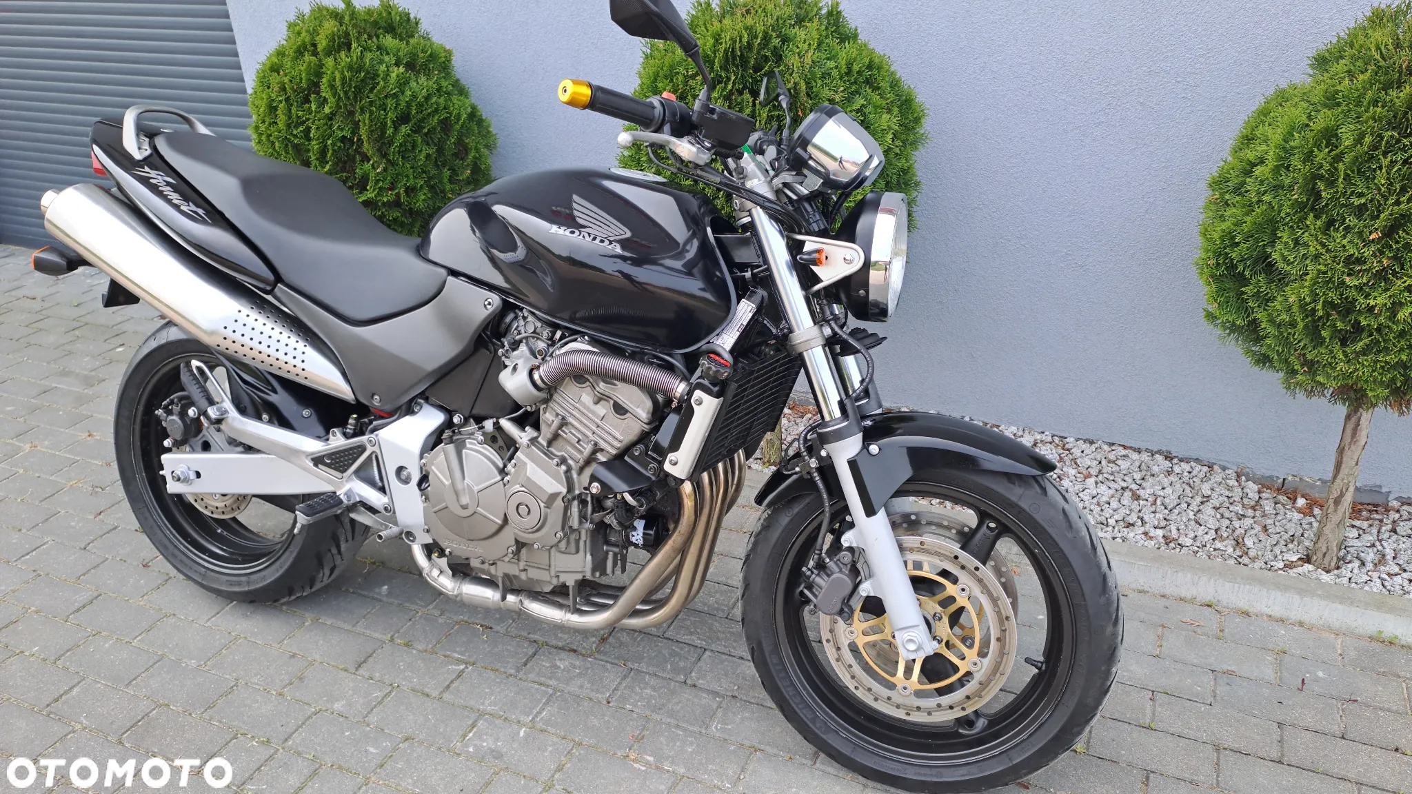 Honda Hornet - 25