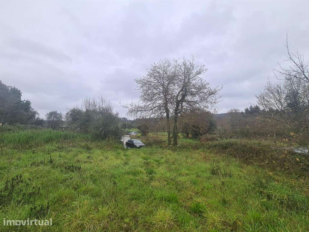 Terreno para construção em zona de Vila Nova de Poiares - Grande imagem: 2/3