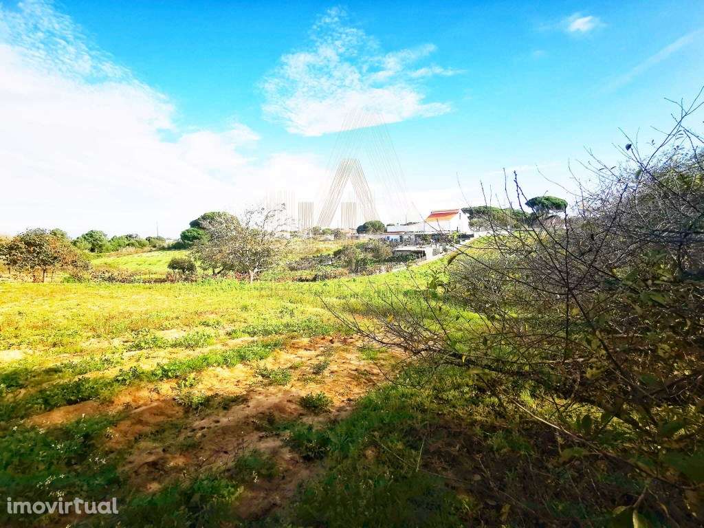 Oportunidade - Terreno em Aldeia do Meco - Grande imagem: 3/11