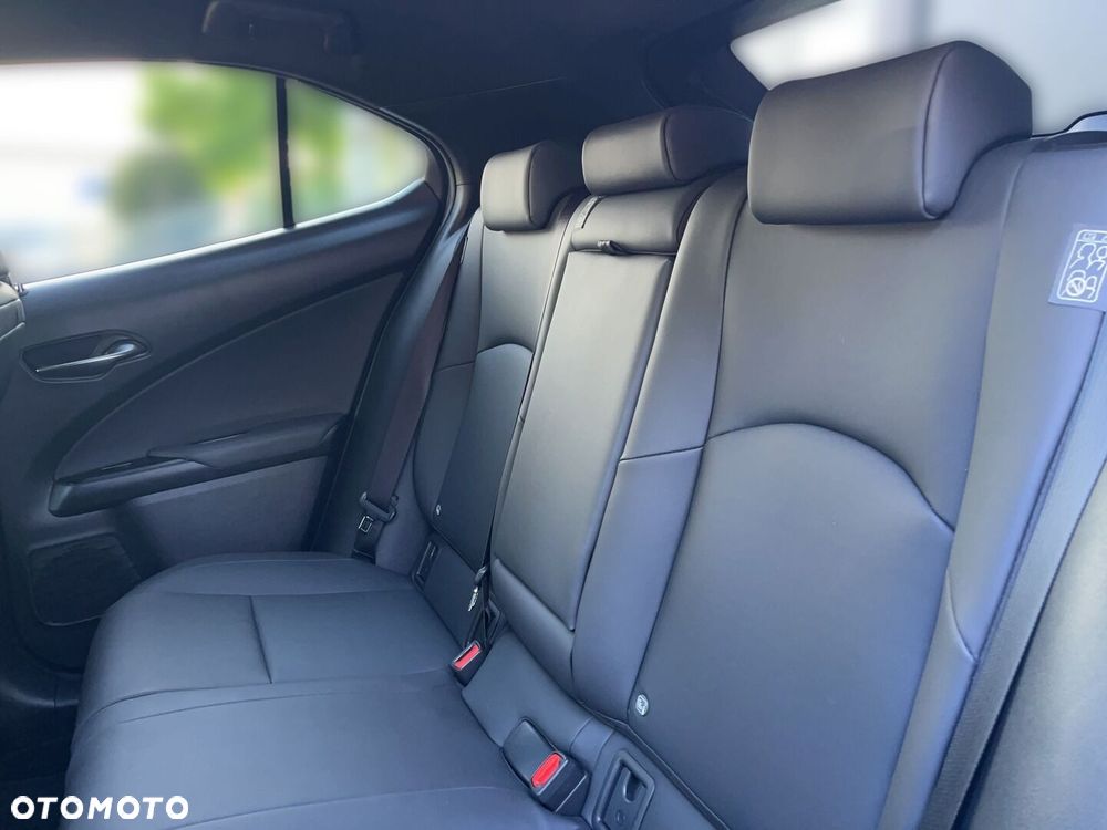 Lexus UX 250h GPF F Sport Design 2WD - 6
