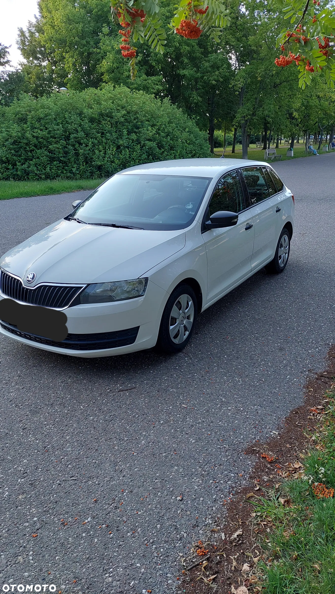Skoda RAPID 1.4 TDI DPF Active - 3