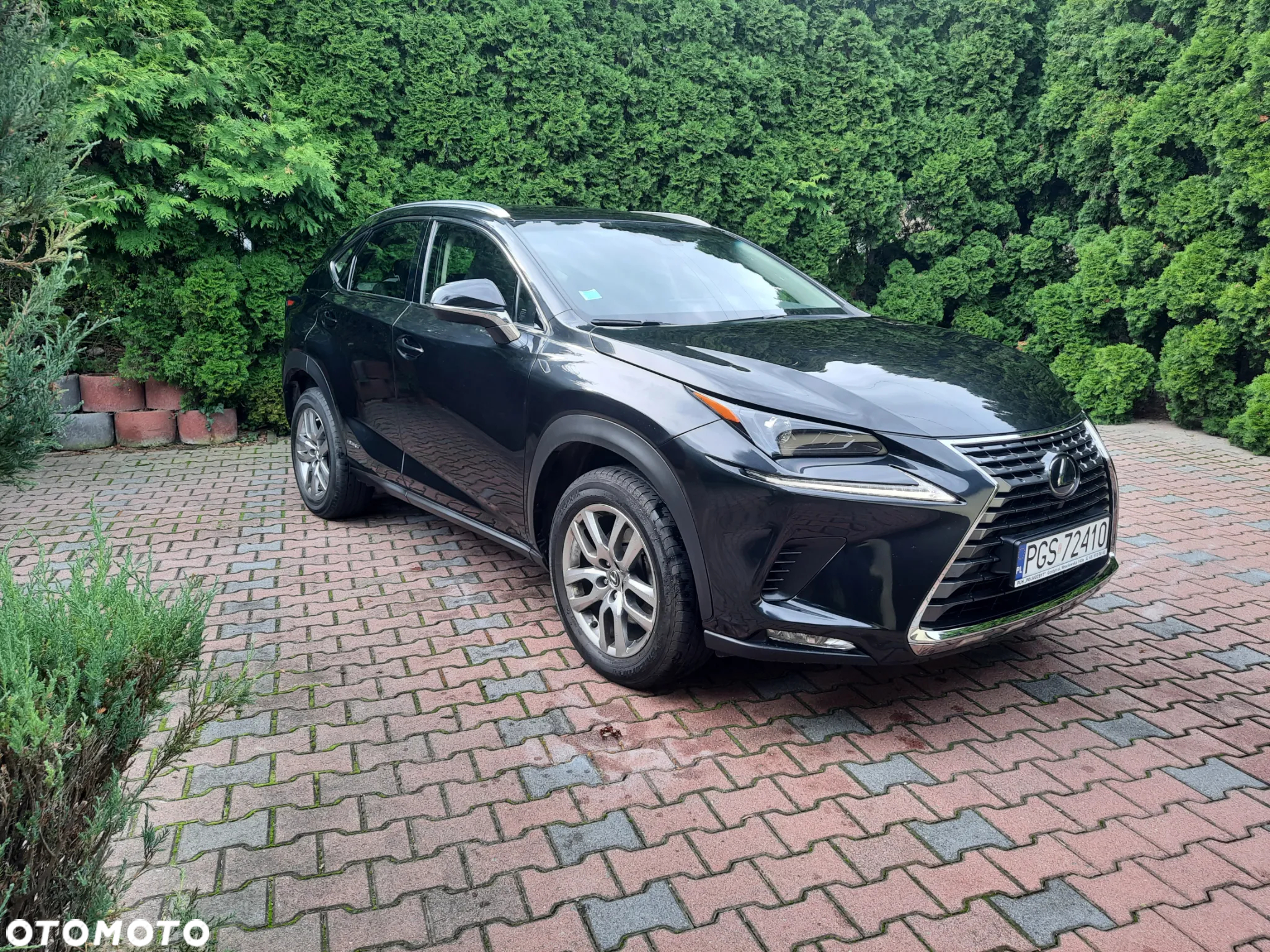 Lexus NX - 6