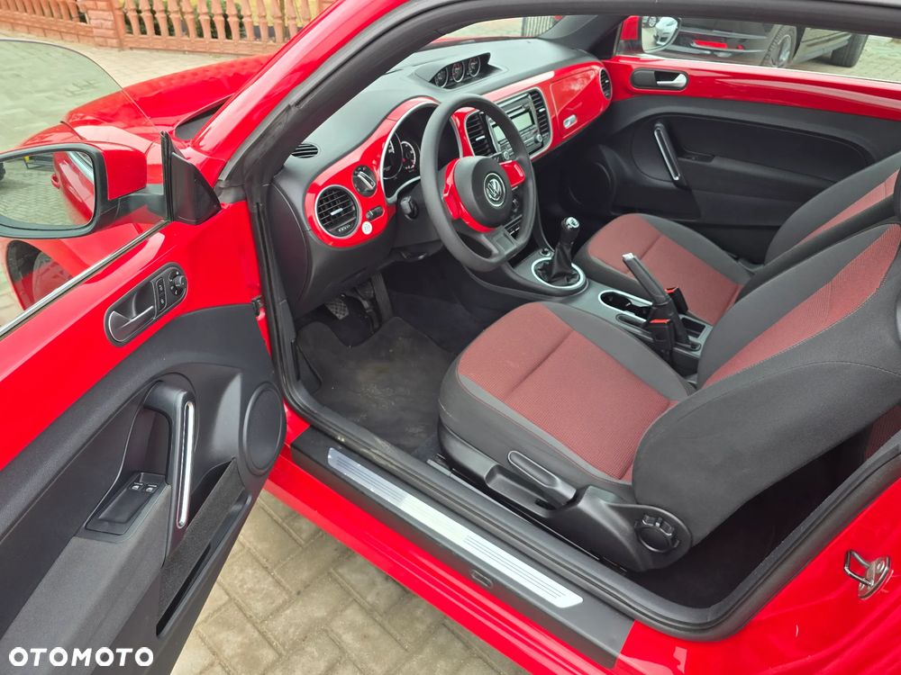 Volkswagen Beetle - 8