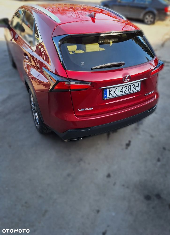 Lexus NX 200t Prestige AWD - 20