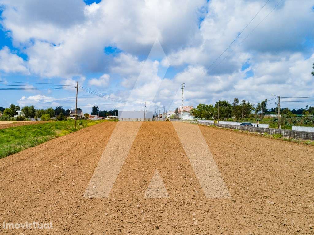 Terreno plano para construção - Junto acessos A29 e Santa Maria da ... - Grande imagem: 5/27