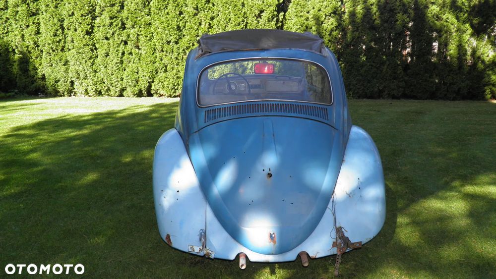 Volkswagen Beetle - 5