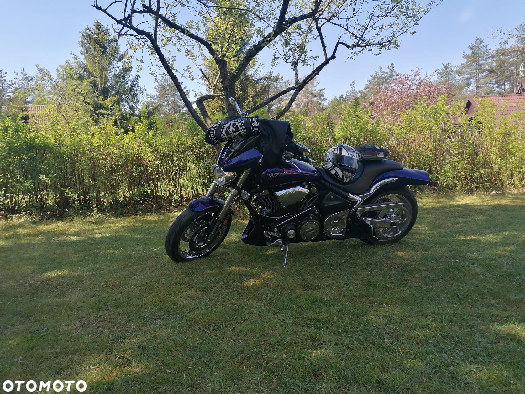 Yamaha Warrior - 8