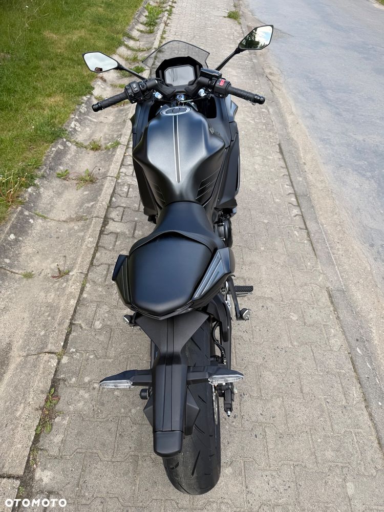 Kawasaki Ninja - 10