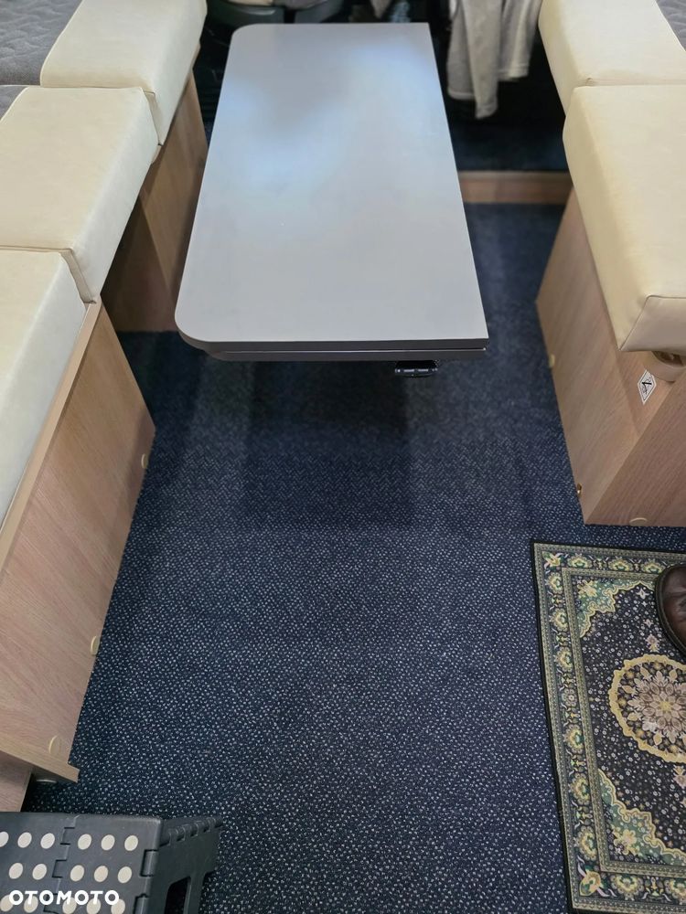 Giottiline Siena - 8