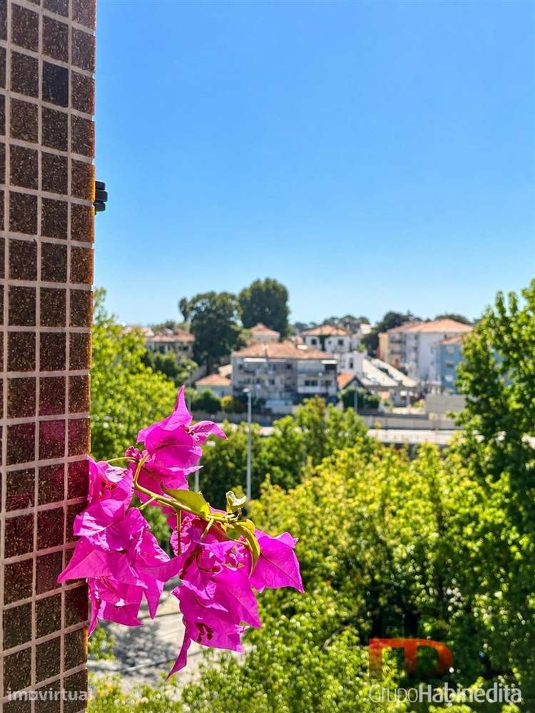 Apartamento T5 Venda em Ramalde,Porto - Grande imagem: 4/35